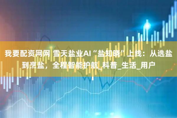 我要配资网网 雪天盐业AI“盐知晓”上线：从选盐到烹盐，全程智能护航_科普_生活_用户