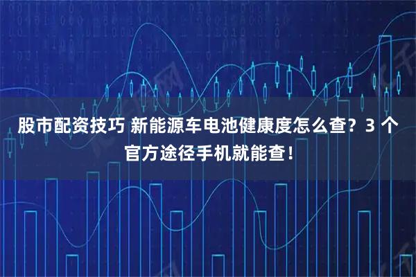 股市配资技巧 新能源车电池健康度怎么查？3 个官方途径手机就能查！