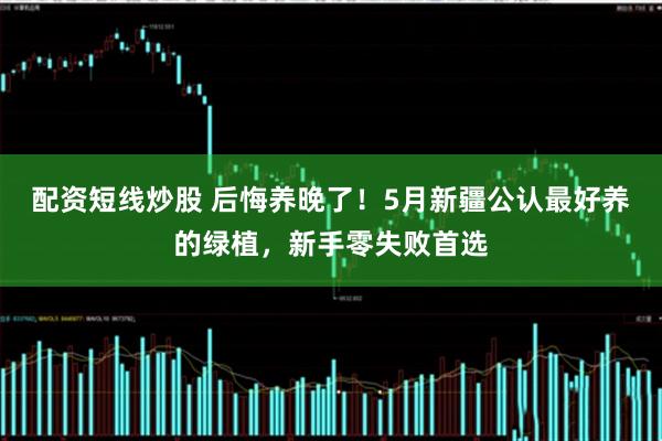 配资短线炒股 后悔养晚了！5月新疆公认最好养的绿植，新手零失败首选